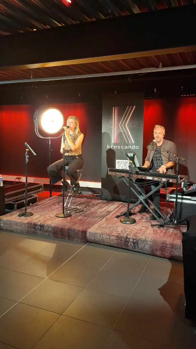 animation, chanteur, chanteuse soirée